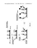 ARRAYS, SUBSTRATES, DEVICES, METHODS AND SYSTEMS FOR DETECTING TARGET MOLECULES diagram and image