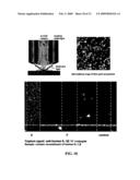 ARRAYS, SUBSTRATES, DEVICES, METHODS AND SYSTEMS FOR DETECTING TARGET MOLECULES diagram and image