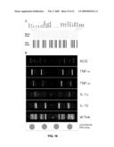 ARRAYS, SUBSTRATES, DEVICES, METHODS AND SYSTEMS FOR DETECTING TARGET MOLECULES diagram and image