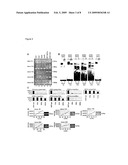 Use of Novel HNF4a Target Genes and Their Gene Products diagram and image