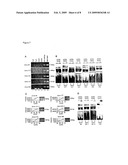 Use of Novel HNF4a Target Genes and Their Gene Products diagram and image