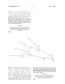 Insulin Derivatives Conjugated with Structurally Well Defined Branched Polymers diagram and image