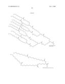 Insulin Derivatives Conjugated with Structurally Well Defined Branched Polymers diagram and image