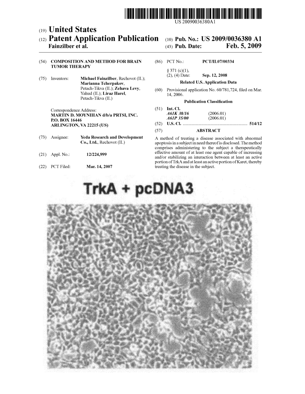 Composition And Method For Brain Tumor Therapy - diagram, schematic, and image 01