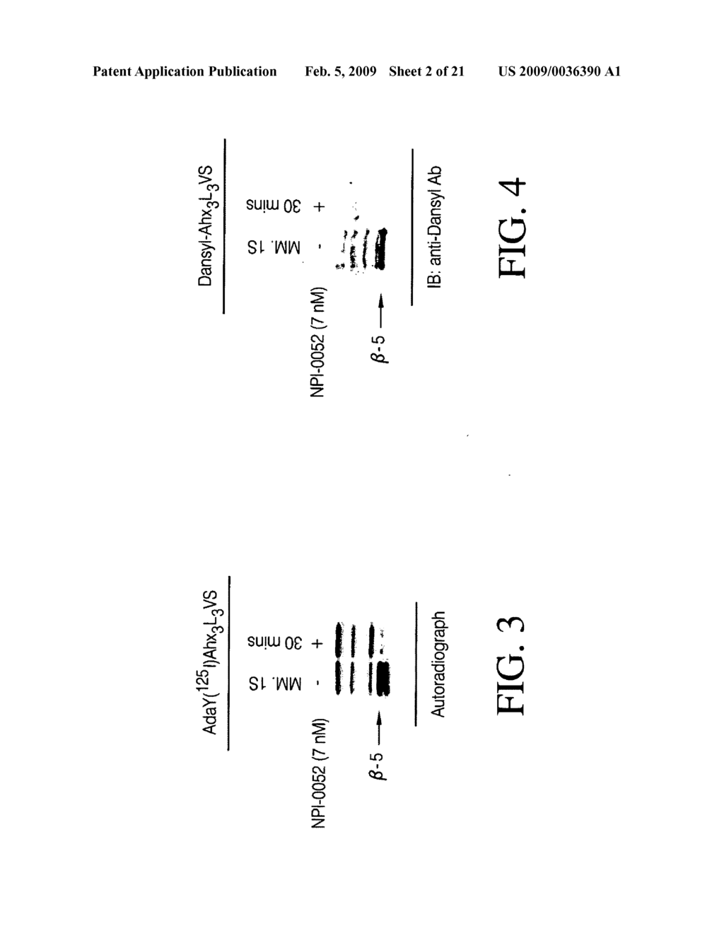 COMPOSITIONS AND METHODS FOR TREATING NEOPLASTIC DISEASES - diagram, schematic, and image 03