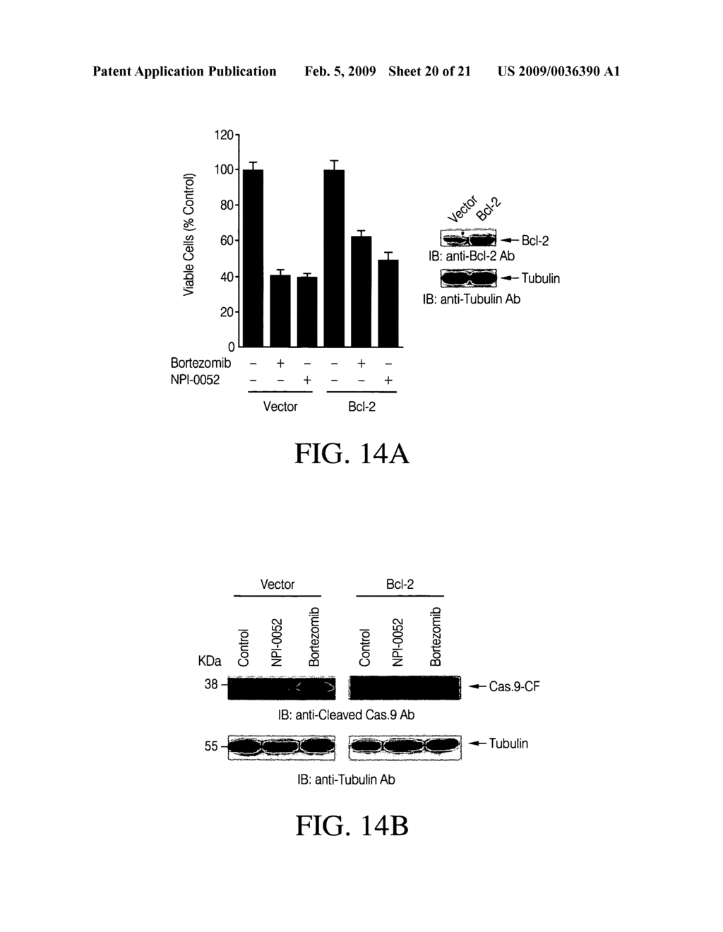 COMPOSITIONS AND METHODS FOR TREATING NEOPLASTIC DISEASES - diagram, schematic, and image 21