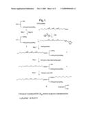 Structured Phospholipids diagram and image