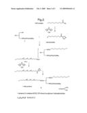 Structured Phospholipids diagram and image