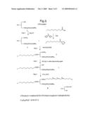 Structured Phospholipids diagram and image