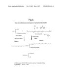 Structured Phospholipids diagram and image