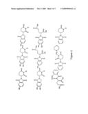 Methods and Compositions for Inhibition of Angiogenesis diagram and image