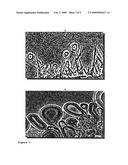 COCHLEATES WITHOUT METAL CATIONS AS BRIDGING AGENTS diagram and image