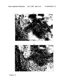 COCHLEATES WITHOUT METAL CATIONS AS BRIDGING AGENTS diagram and image