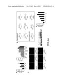 Chemical inducers of neurogenesis diagram and image