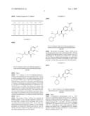 Non-Natural Amino Acid Derivatives diagram and image