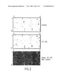 Guanylhydrazones in Methods of Treatment or Diagnosis as Modulators of Signal Transduction diagram and image