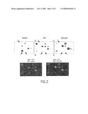 Guanylhydrazones in Methods of Treatment or Diagnosis as Modulators of Signal Transduction diagram and image