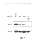 Guanylhydrazones in Methods of Treatment or Diagnosis as Modulators of Signal Transduction diagram and image