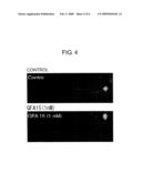 Hydroquinone Long-Chain Derivative and/or Phenoxy Long-Chain Derivative and Pharmaceutical Comprising Same diagram and image