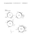 Oil Biosynthesis diagram and image