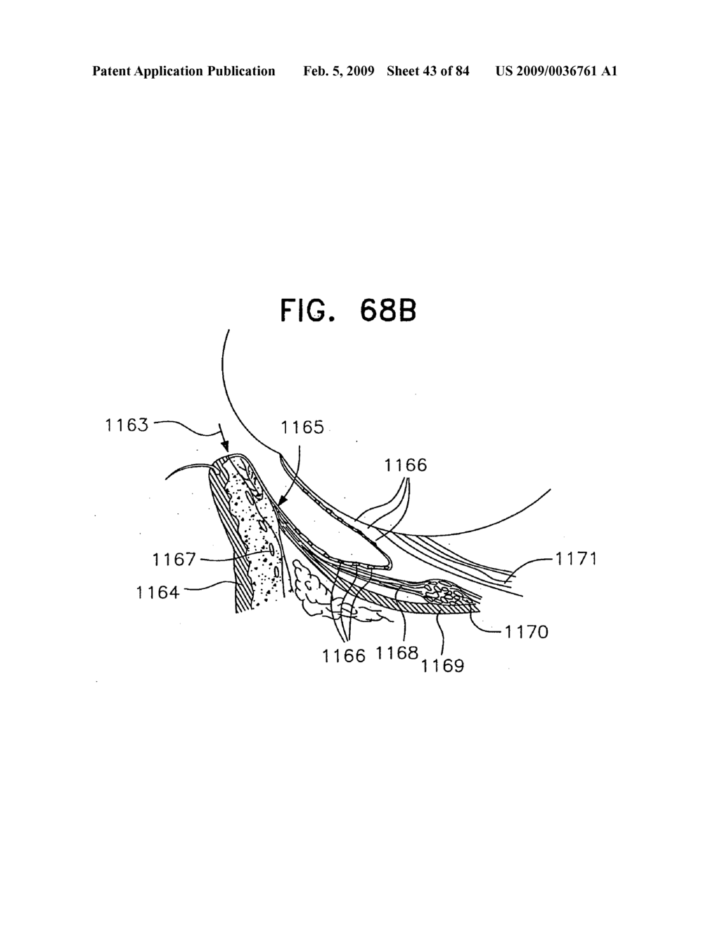 Noninvasive measurement of chemical substances - diagram, schematic, and image 44