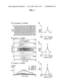 Neuronal Avalanche Assay diagram and image