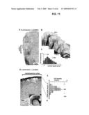 Neuronal Avalanche Assay diagram and image