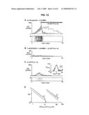 Neuronal Avalanche Assay diagram and image