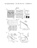 Neuronal Avalanche Assay diagram and image