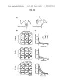 Neuronal Avalanche Assay diagram and image