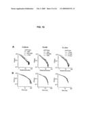 Neuronal Avalanche Assay diagram and image