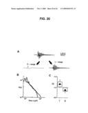 Neuronal Avalanche Assay diagram and image