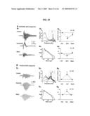 Neuronal Avalanche Assay diagram and image