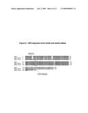 MSCA1 NUCLEOTIDE SEQUENCES IMPACTING PLANT MALE FERTILITY AND METHOD OF USING SAME diagram and image