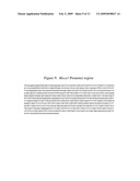 MSCA1 NUCLEOTIDE SEQUENCES IMPACTING PLANT MALE FERTILITY AND METHOD OF USING SAME diagram and image