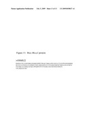 MSCA1 NUCLEOTIDE SEQUENCES IMPACTING PLANT MALE FERTILITY AND METHOD OF USING SAME diagram and image