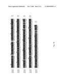 AXMI-028 AND AXMI-029, A FAMILY OF NOVEL DELTA-ENDOTOXIN GENES AND METHODS FOR THEIR USE diagram and image