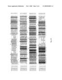 AXMI-028 AND AXMI-029, A FAMILY OF NOVEL DELTA-ENDOTOXIN GENES AND METHODS FOR THEIR USE diagram and image