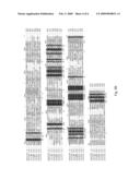 AXMI-028 AND AXMI-029, A FAMILY OF NOVEL DELTA-ENDOTOXIN GENES AND METHODS FOR THEIR USE diagram and image