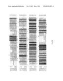 AXMI-028 AND AXMI-029, A FAMILY OF NOVEL DELTA-ENDOTOXIN GENES AND METHODS FOR THEIR USE diagram and image