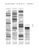 AXMI-028 AND AXMI-029, A FAMILY OF NOVEL DELTA-ENDOTOXIN GENES AND METHODS FOR THEIR USE diagram and image