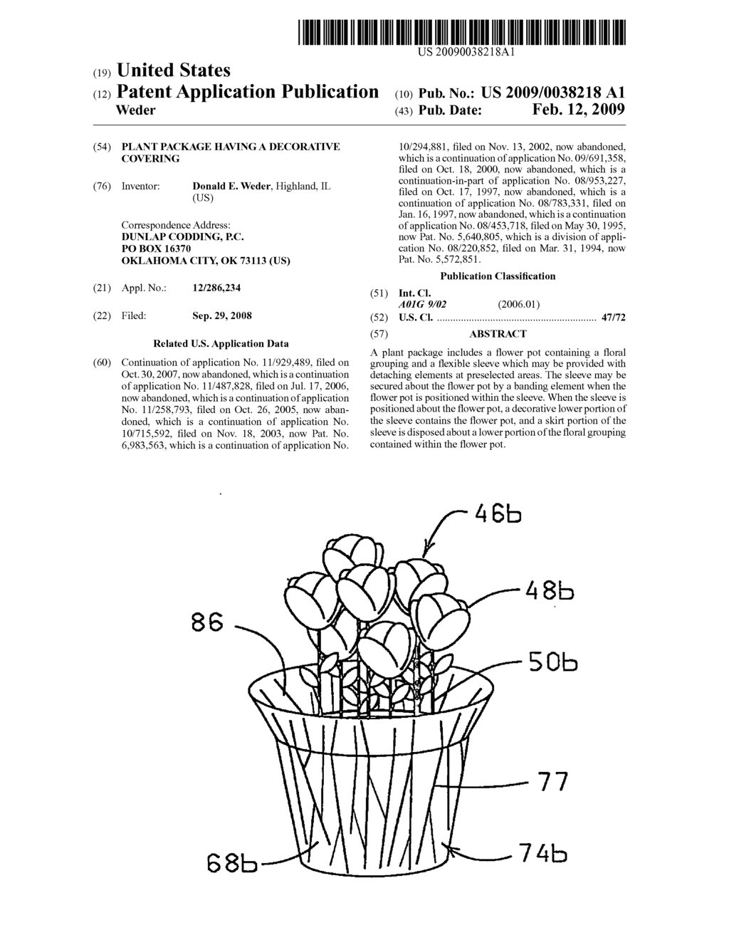 Plant package having a decorative covering - diagram, schematic, and image 01