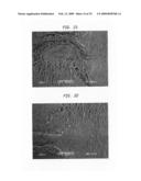 Process for producing absorbent sheet diagram and image