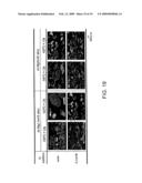 METAL OXIDE FILM, LAMINATE, METAL MEMBER AND PROCESS FOR PRODUCING THE SAME diagram and image