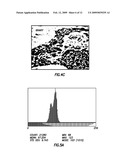 METHOD AND APPARATUS FOR OIL SPILL DETECTION diagram and image