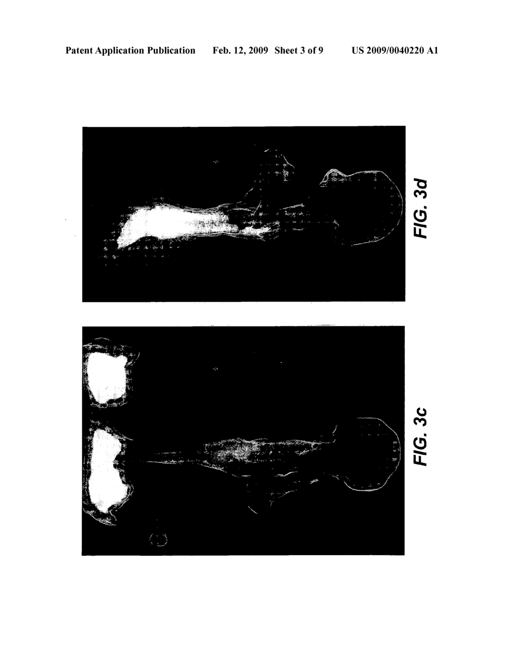 Hybrid volume rendering in computer implemented animation - diagram, schematic, and image 04