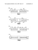 OPTICAL DISC ASSEMBLIES FOR PERFORMING ASSAYS diagram and image