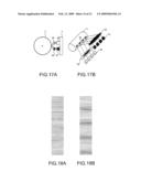 Light Exposure Head and Image Formation Apparatus Using the Same diagram and image