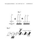 ANALYZER FOR GLYCAN OR COMPLEX CARBOHYDRATE diagram and image