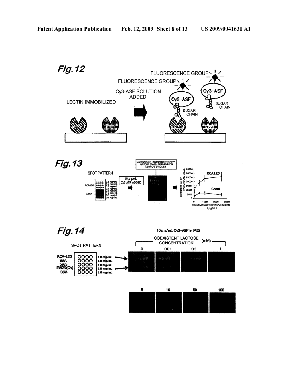 ANALYZER FOR GLYCAN OR COMPLEX CARBOHYDRATE - diagram, schematic, and image 09